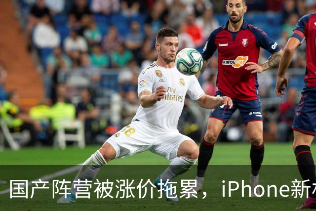 国产阵营被涨价拖累，iPhone新机中国销量增长29%