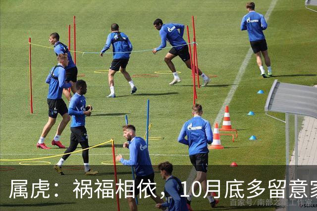 属虎：祸福相依，10月底多留意家门，提前做好家庭防备